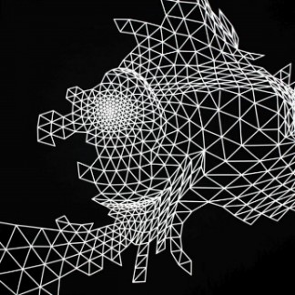 net